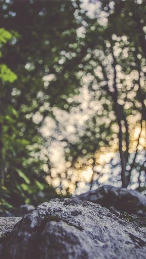 seo站长工具优化推广截图1