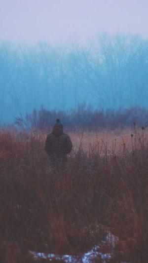 建设网站公司截图2