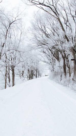 莲花泛目录截图2