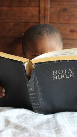 seo优化培训公司截图3