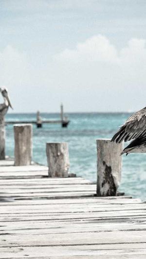 福州seo推广截图1