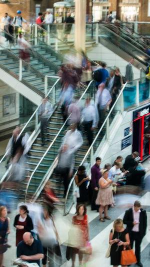 seo分析工具 search截图2