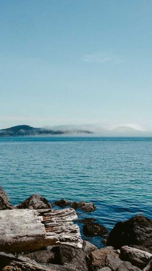 seo站长工具测试截图5