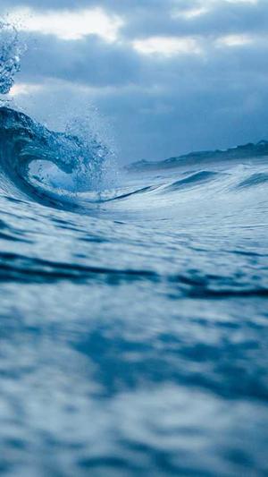 专业seo优化公司截图2