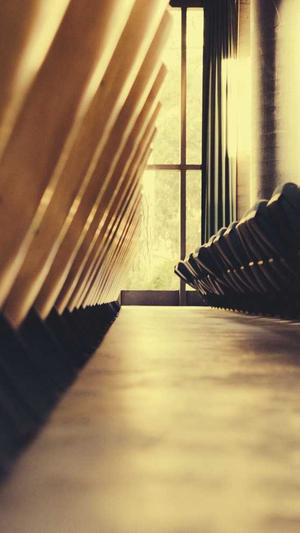 泛目录有什么用截图1